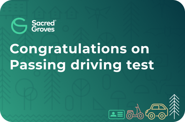 Passed Driving Test06